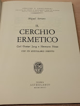 IL CERCHIO ERMETICO. CARL GUSTAV JUNG E HERMANN HESSE.