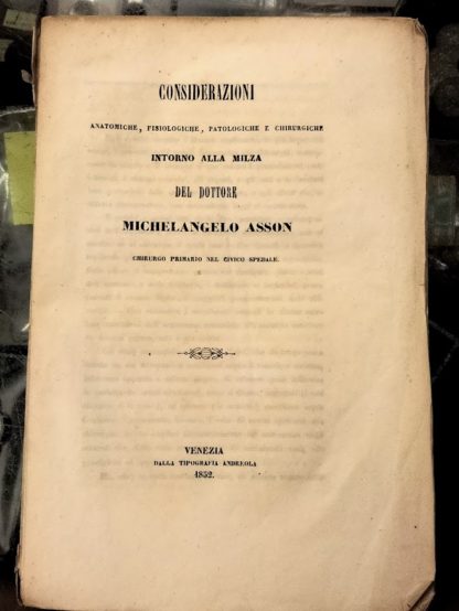 Considerazioni anatomiche, fisiologiche, patologiche e chirurgiche intorno alla milza.