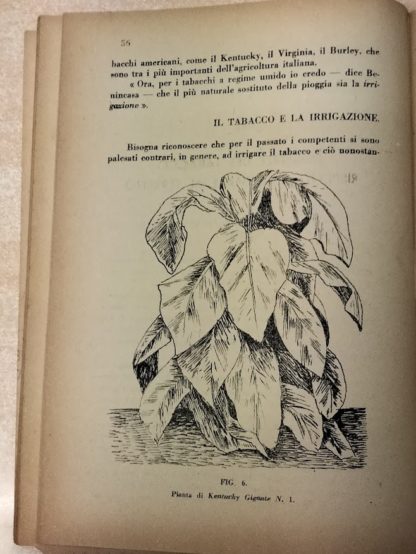 Il Tabacco guide pratiche per tutti storia economia monopolio botanica coltivazione avversita tecnologie.