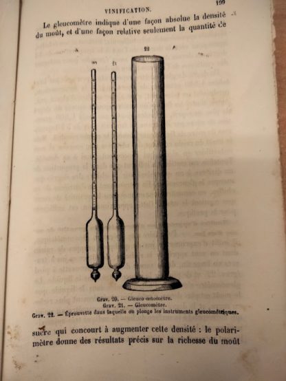 Culture de la vigne et vinification.